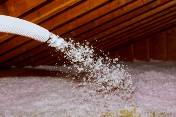 Professional Insulation Contractor in VA