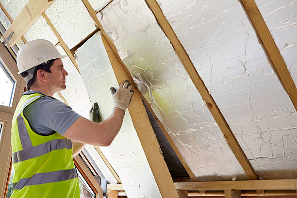 Best Specialty Insulation in Fort Hunt, VA